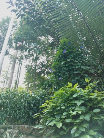 c0182810_13869.jpg