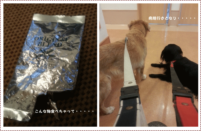 c0017311_043445.gif