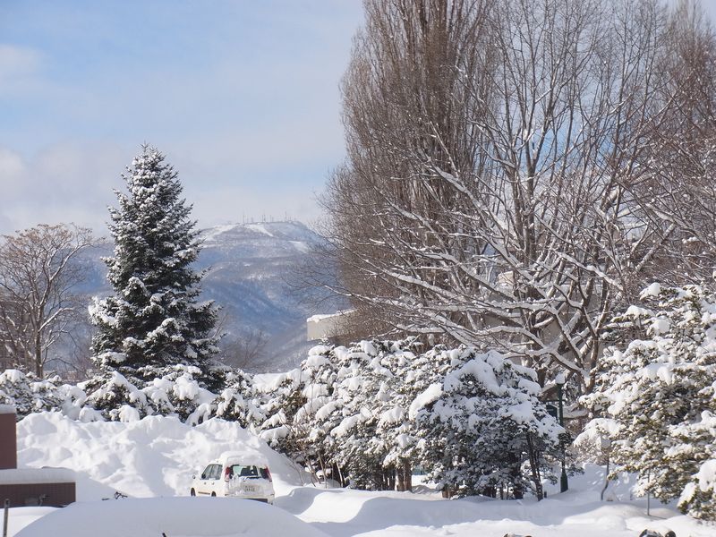 ついに東区は積雪1メートル越え_c0025115_18231690.jpg