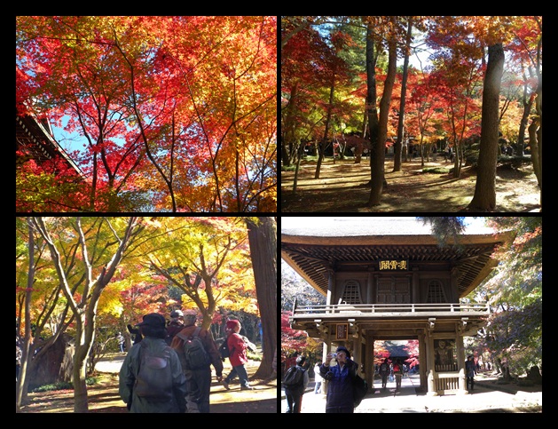 野火止用水から平林寺_c0073016_15432257.jpg