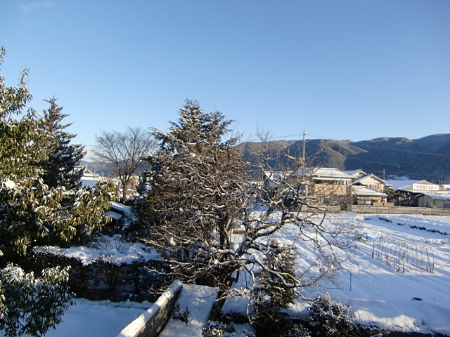 e0234924_16462661.jpg
