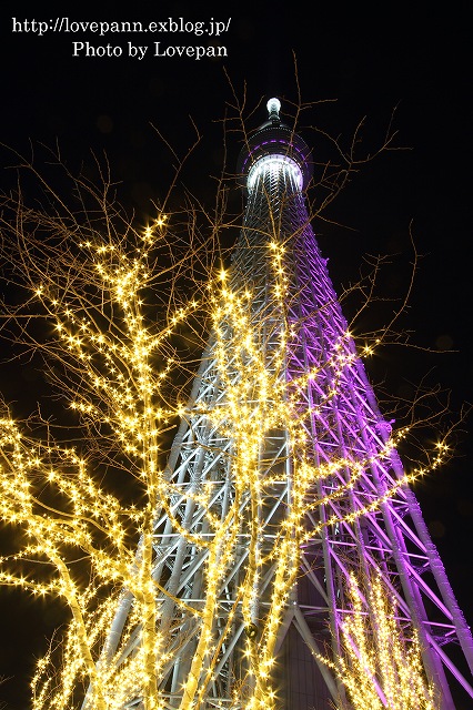c0136926_2055162.jpg
