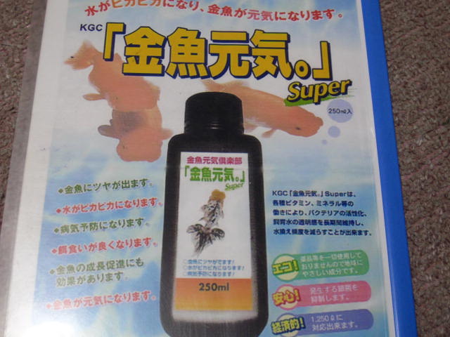 金魚元気倶楽部 フルタニ金魚倶楽部blog