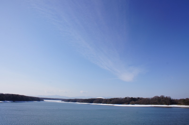 a0122932_23121454.jpg
