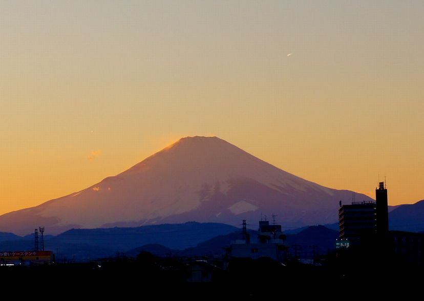 18/January 　富士山の夕景とプリムラとハッチ_e0149934_1755482.jpg