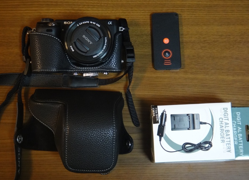 SONY α NEX-6 #5 : COMPLEX CAT SONY α NEX-6 #5 : COMPLEX CAT