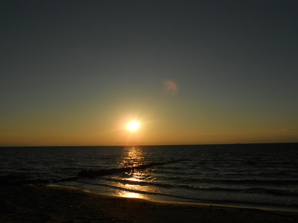 e0300042_1533087.jpg
