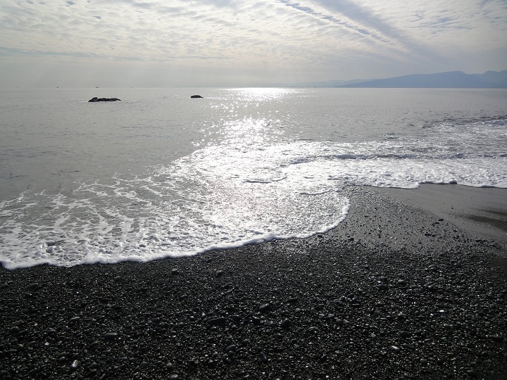 b0147444_20264840.jpg