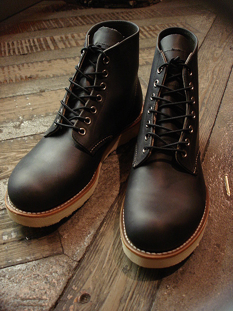 NEW : REDWING [6