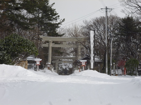 猛吹雪_b0238249_21315023.jpg