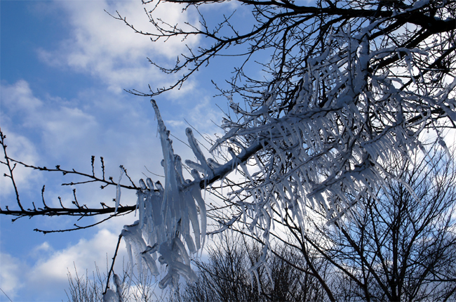 “また雪”の翌日_f0214649_20193137.jpg