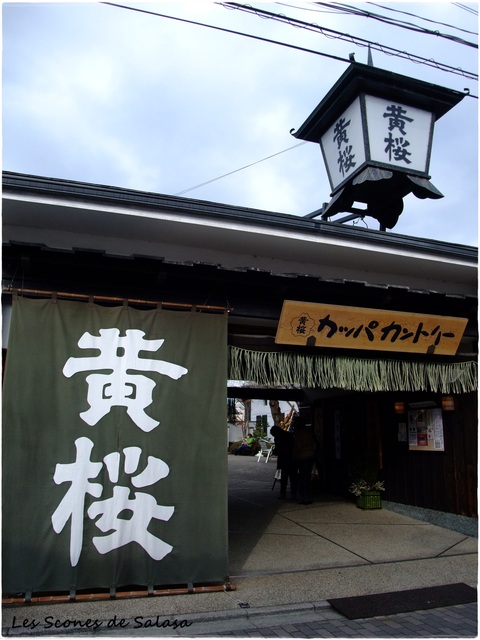 京都伏見と酒粕_a0177453_1027745.jpg