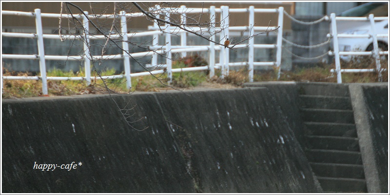a0167759_16343257.jpg