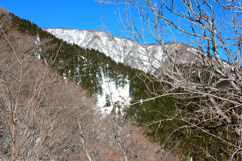 a0248459_20512155.jpg