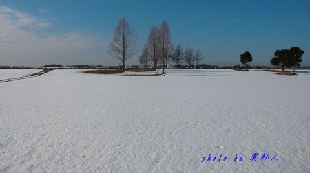 雪景色・・・（１４８０）_d0274760_1034748.jpg