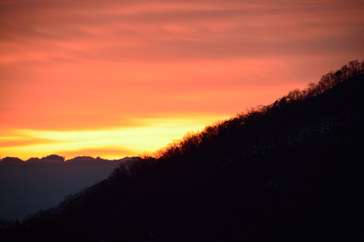 f0222161_1065828.jpg