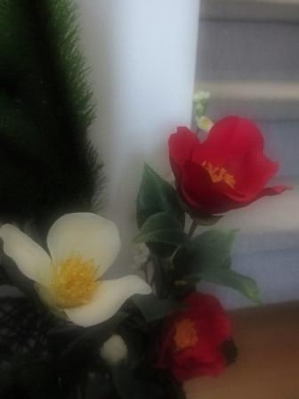 a0243064_1939438.jpg