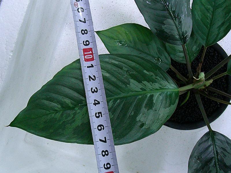 d0249970_23639.jpg