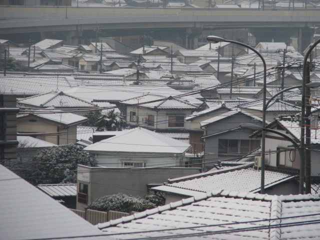 b0161073_10315576.jpg
