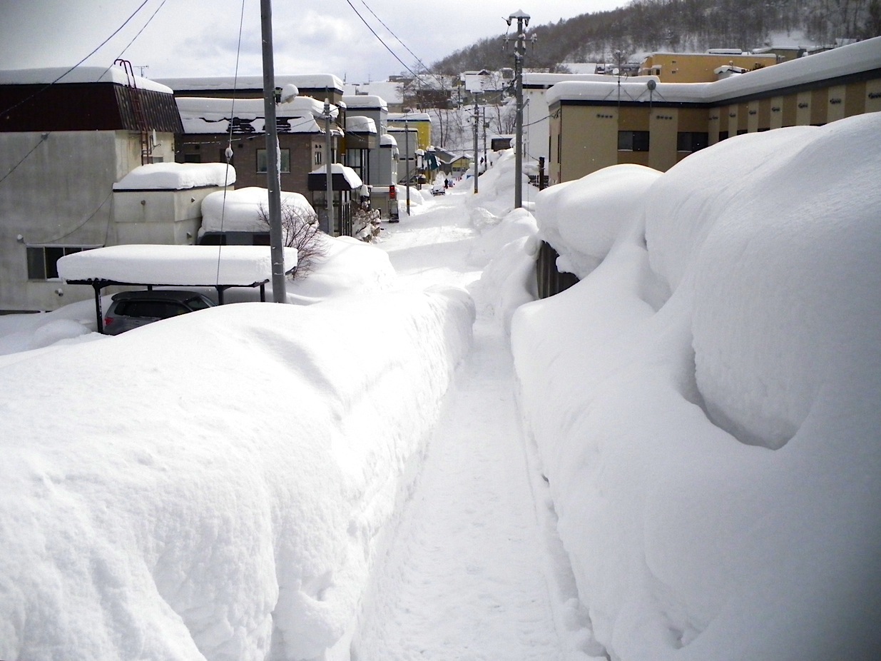 大寒前の豪雪！_b0134175_17534764.jpg