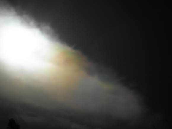 b0208981_23443885.jpg