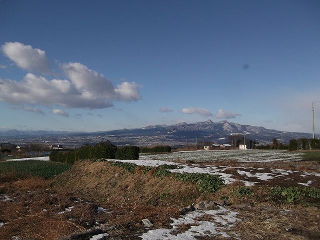 c0212083_231427.jpg