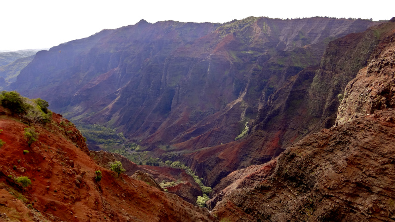 2013/01/14 Kauai island Trail Trip Day.8 Pu\'u Hinahina Trail-Canyon Trail-Kumuwela Trail　_b0220886_13482910.jpg