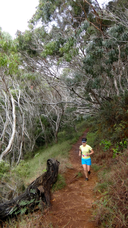 2013/01/14 Kauai island Trail Trip Day.8 Pu\'u Hinahina Trail-Canyon Trail-Kumuwela Trail　_b0220886_13514792.jpg