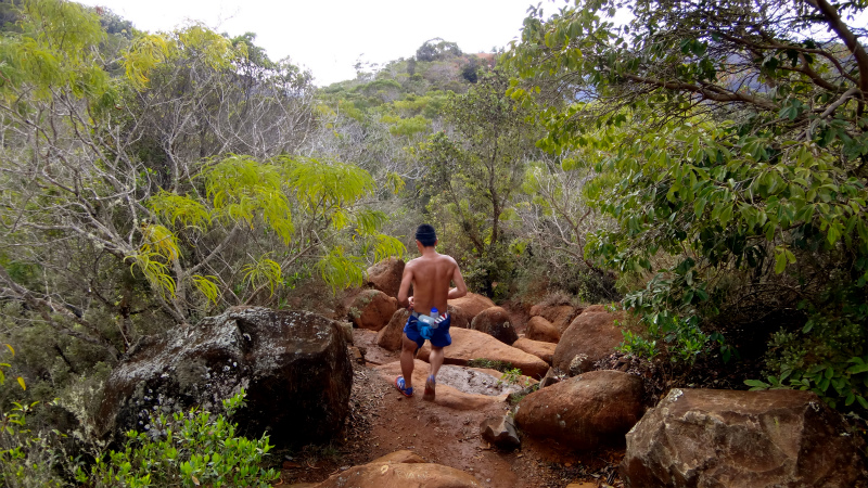 2013/01/14 Kauai island Trail Trip Day.8 Pu\'u Hinahina Trail-Canyon Trail-Kumuwela Trail　_b0220886_13521656.jpg