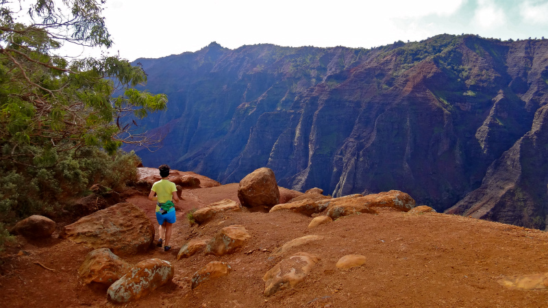 2013/01/14 Kauai island Trail Trip Day.8 Pu\'u Hinahina Trail-Canyon Trail-Kumuwela Trail　_b0220886_135522100.jpg