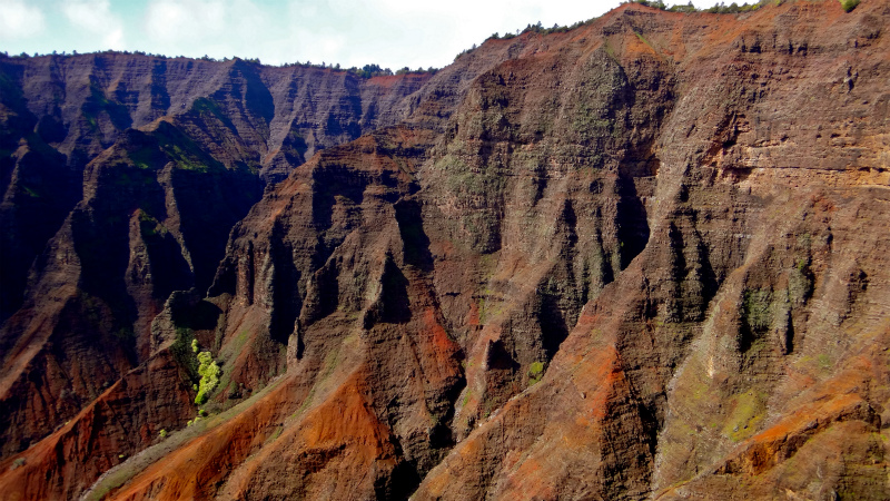 2013/01/14 Kauai island Trail Trip Day.8 Pu\'u Hinahina Trail-Canyon Trail-Kumuwela Trail _b0220886_1355456.jpg