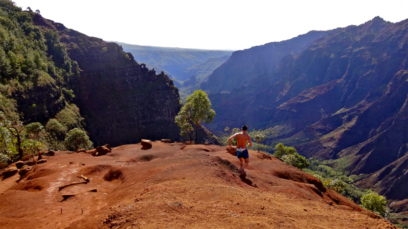 2013/01/14 Kauai island Trail Trip Day.8 Pu\'u Hinahina Trail-Canyon Trail-Kumuwela Trail _b0220886_13561687.jpg