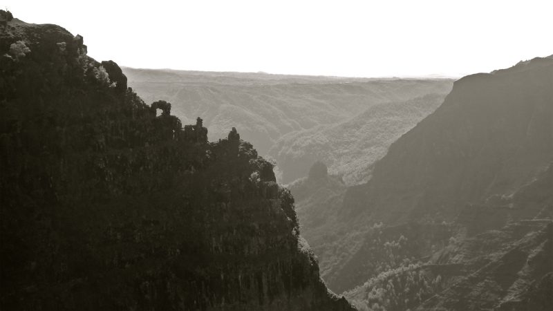 2013/01/14 Kauai island Trail Trip Day.8 Pu\'u Hinahina Trail-Canyon Trail-Kumuwela Trail _b0220886_13572799.jpg