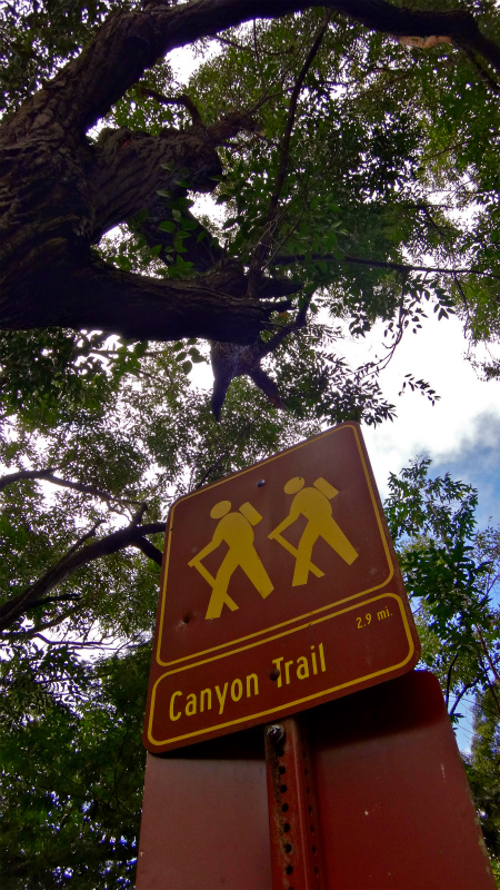 2013/01/14 Kauai island Trail Trip Day.8 Pu\'u Hinahina Trail-Canyon Trail-Kumuwela Trail　_b0220886_1410783.jpg