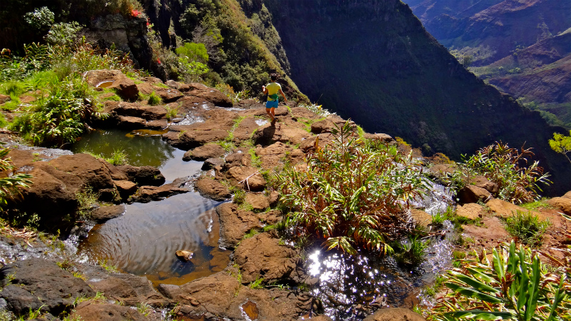 2013/01/14 Kauai island Trail Trip Day.8 Pu\'u Hinahina Trail-Canyon Trail-Kumuwela Trail　_b0220886_141323.jpg