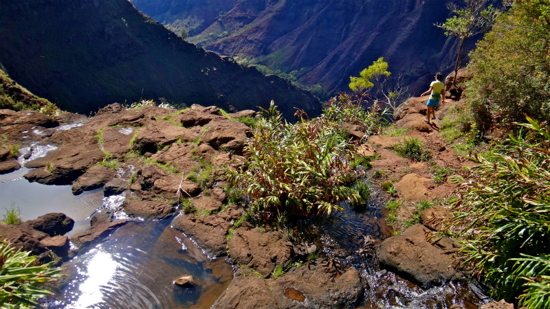 2013/01/14 Kauai island Trail Trip Day.8 Pu\'u Hinahina Trail-Canyon Trail-Kumuwela Trail　_b0220886_1414915.jpg