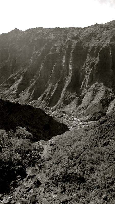 2013/01/14 Kauai island Trail Trip Day.8 Pu\'u Hinahina Trail-Canyon Trail-Kumuwela Trail　_b0220886_1423154.jpg