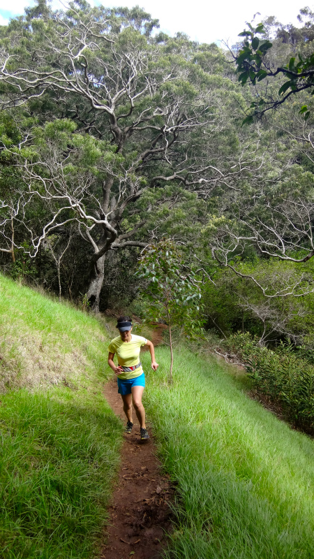 2013/01/14 Kauai island Trail Trip Day.8 Pu\'u Hinahina Trail-Canyon Trail-Kumuwela Trail　_b0220886_14253282.jpg