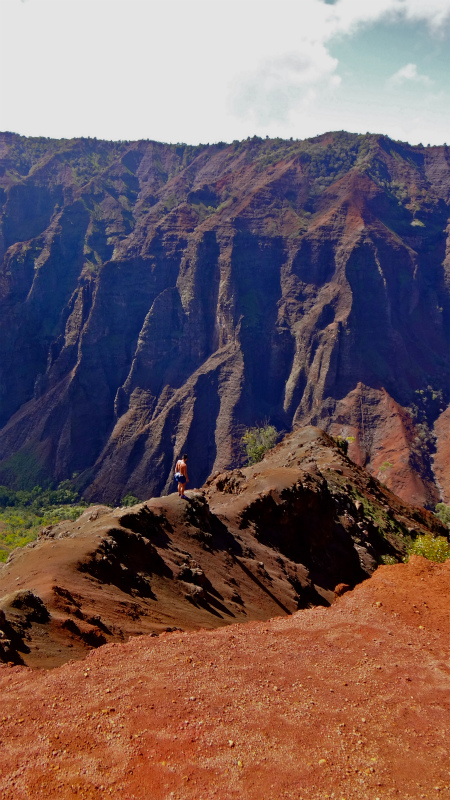 2013/01/14 Kauai island Trail Trip Day.8 Pu\'u Hinahina Trail-Canyon Trail-Kumuwela Trail　_b0220886_1443047.jpg