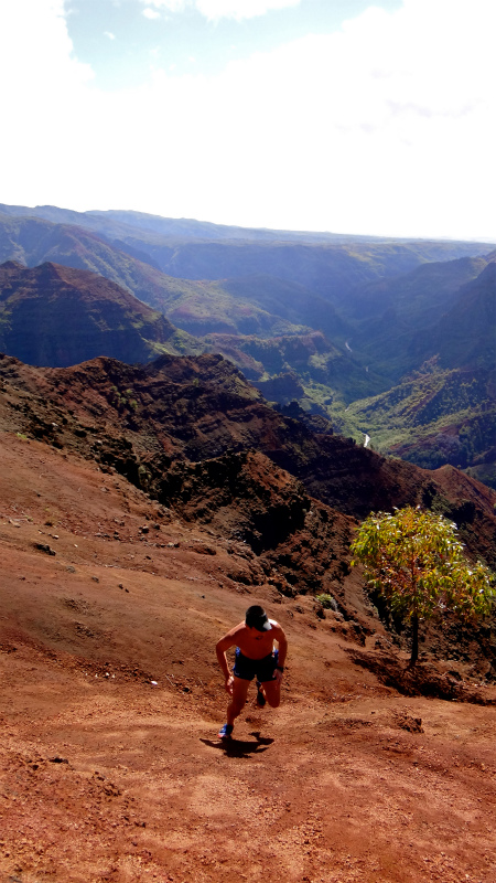 2013/01/14 Kauai island Trail Trip Day.8 Pu\'u Hinahina Trail-Canyon Trail-Kumuwela Trail　_b0220886_1445088.jpg