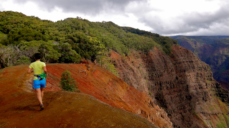 2013/01/14 Kauai island Trail Trip Day.8 Pu\'u Hinahina Trail-Canyon Trail-Kumuwela Trail　_b0220886_1452739.jpg