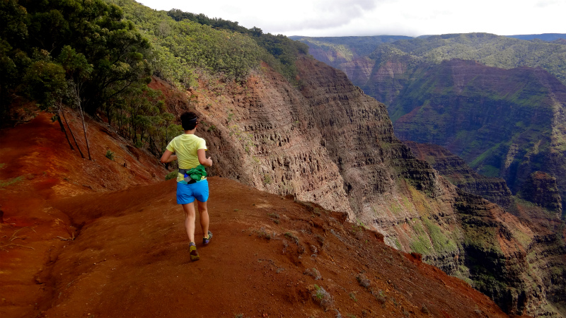 2013/01/14 Kauai island Trail Trip Day.8 Pu\'u Hinahina Trail-Canyon Trail-Kumuwela Trail　_b0220886_1455523.jpg