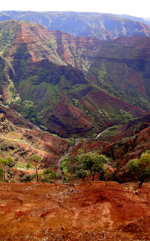 2013/01/14 Kauai island Trail Trip Day.8 Pu\'u Hinahina Trail-Canyon Trail-Kumuwela Trail _b0220886_1464148.jpg