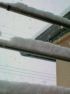 a0064291_9292583.jpg