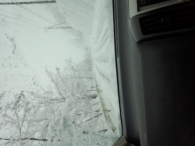 b0084893_1062868.jpg