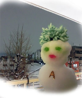 大雪★キャンパー & ユキのトリさん_d0224894_13491629.jpg