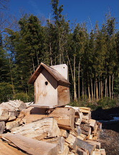 c0039501_15475410.jpg