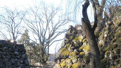 e0304702_22334781.jpg