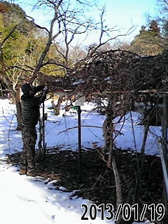 e0270403_1749977.jpg