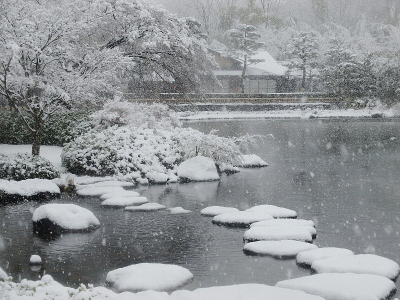 雪の日本庭園_b0231705_20391472.jpg